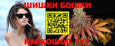 бошки Тверь