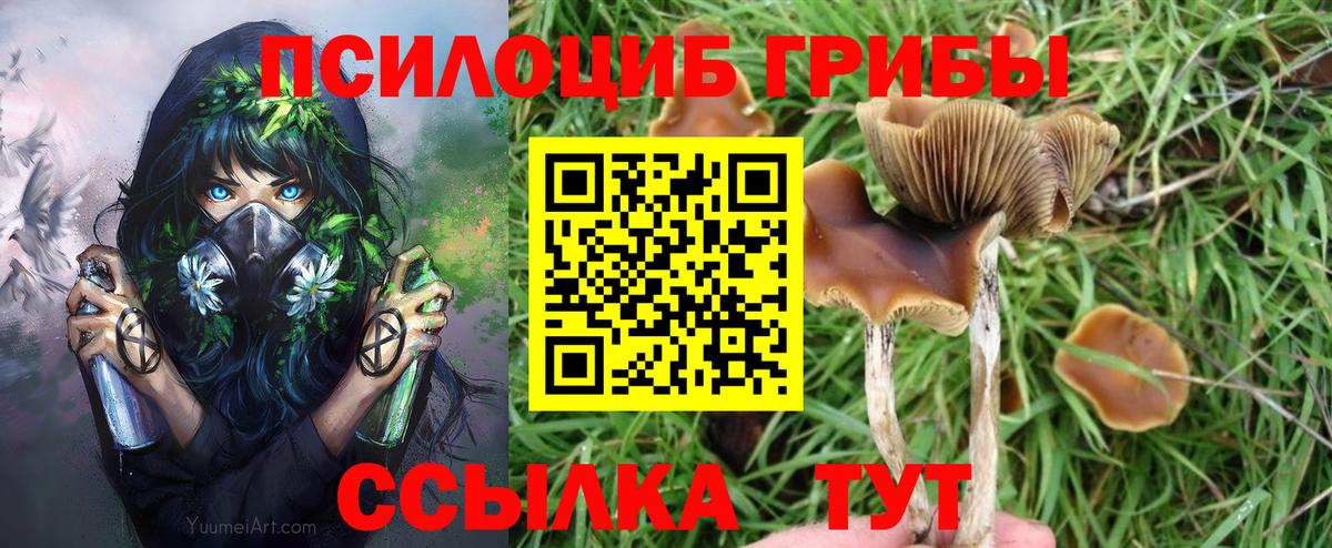 Псилоцибиновые грибы GOLDEN TEACHER Междуреченск