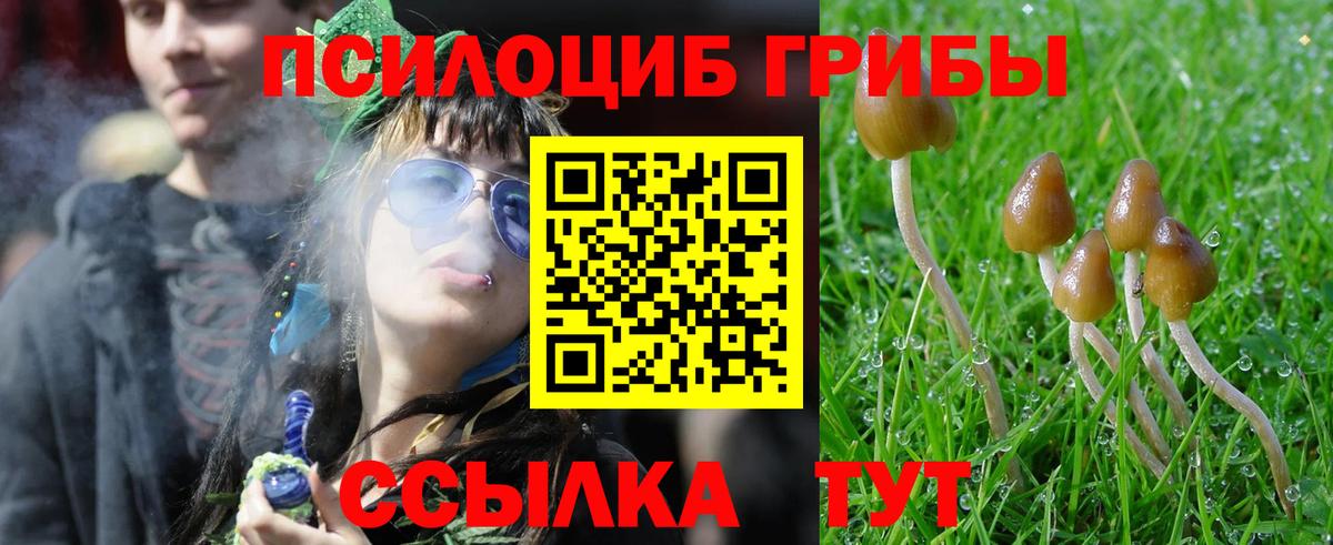 Галлюциногенные грибы прущие грибы  Вход с VPN  Галлюциногенные грибы мухоморы  где продают   Междуреченск 